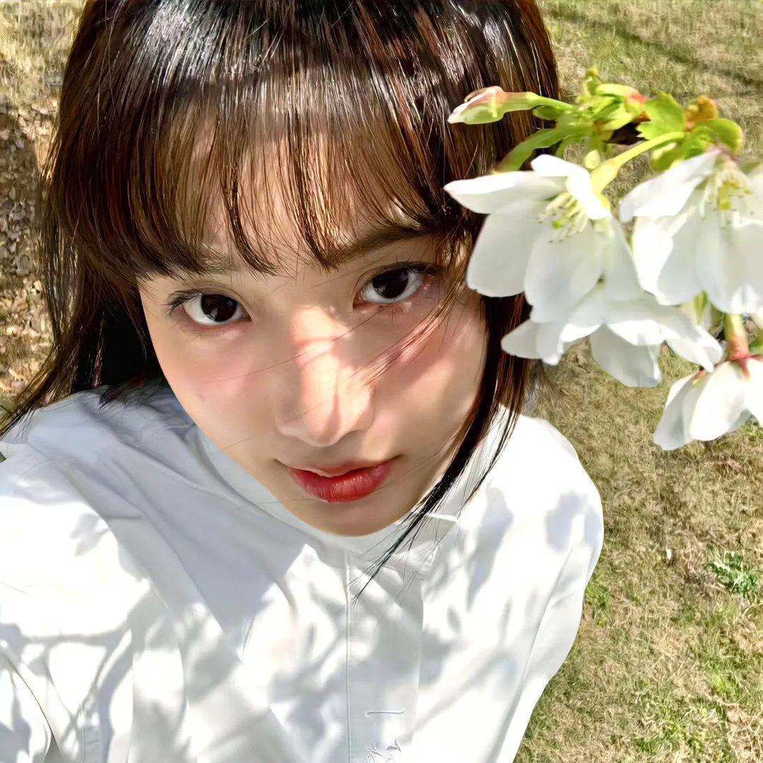 杰克兔